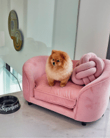 Stanbury Pets